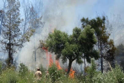 Antalya'da valilik duyurdu! 31 Ekim'e kadar yasaklandı