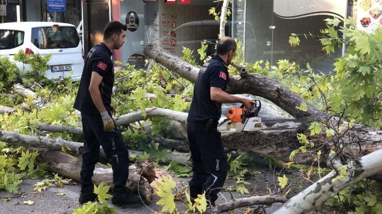 Altıparmak Caddesi’nde bulunan ve yaklaşık 200 yıllık olduğu tahmin edilen çınar ağacı, yola devrildi.