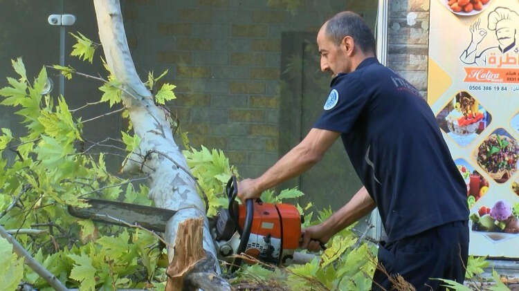 Polis ekipleri çevre güvenliğini alırken, itfaiye ekipleri de ağacı yoldan kaldırmak için çalışma başlattı.