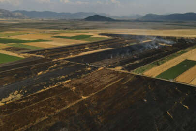 800 dönüm ekili arazi küle döndü!