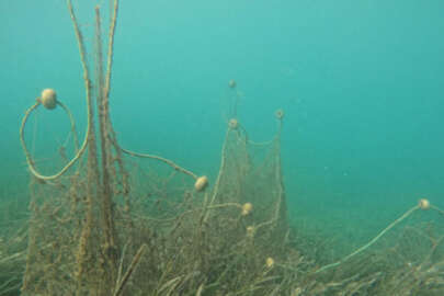 Hayalet ağlar, Ege Denizi'nde endemik canlılara zarar veriyor!