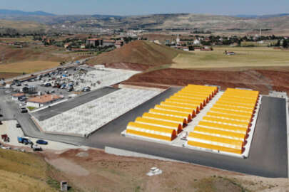 Çankırı'da şap tehdidi!