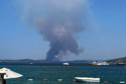 Muğla Milas'ta orman yangını başladı