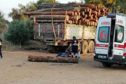 Antalya'da başına tomruk düşen adam yaşamını yitirdi!