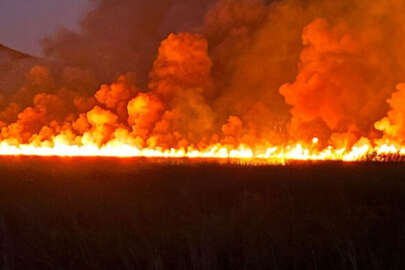 Antalya'da sazlık alanda yangın!