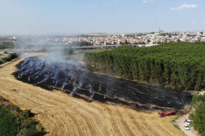 Edirne'de yangın! 250 balya saman kül oldu