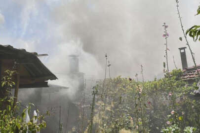 Tek katlı evde çıkan yangında 5 küçükbaş hayvan telef oldu