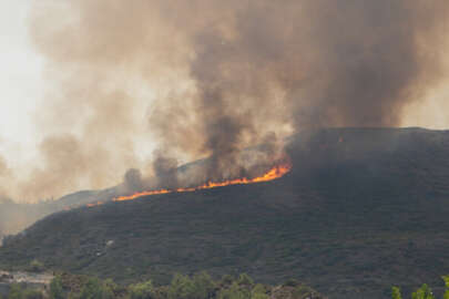 Yunanistan'daki orman yangınlarda can kaybı 4'e yükseldi