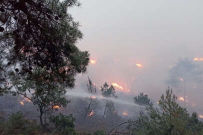 Bolu'da düşen yıldırım yangına neden oldu!