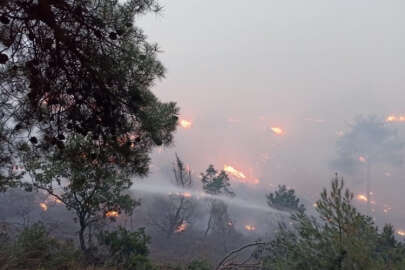 Bolu'da düşen yıldırım yangına neden oldu!