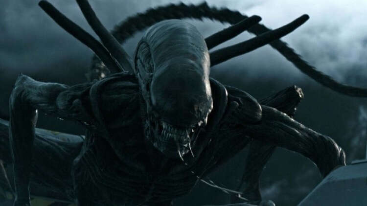 YARATIK: COVENANT (2017)