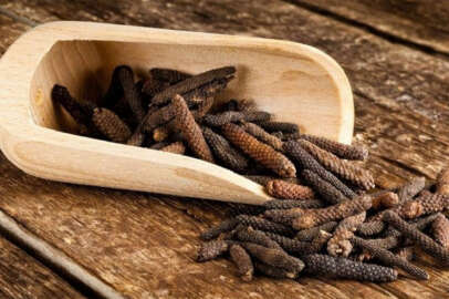 Bitki değil yürüyen eczane!