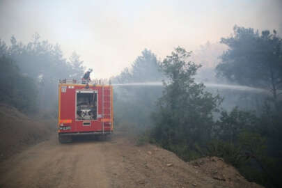 Sakarya'da ormanlık alanda çıkan yangın kontrol altına alındı