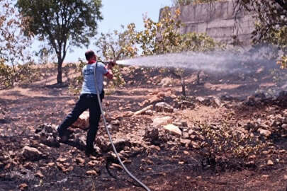 Siirt'te çiftçinin onca yıllık emeği küle döndü!