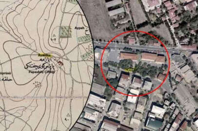 İstanbul'un göbeğinde bulundu! 'Dünyadaki tek yer olabilir'