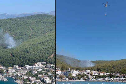Bodrum'da orman yangını kontrol altına alındı!