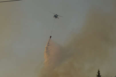 Didim’deki yangın 4,5 saat sonra kontrol altına alındı!