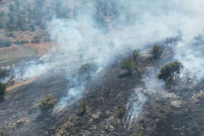 Manisa'da makilik alanda çıkan yangın kontrol altında!