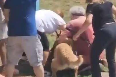 Tasmasız gezdirilen köpek dehşet saçtı!