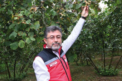 Bakan Yumaklı: Giresun fındığı dünya markası oldu