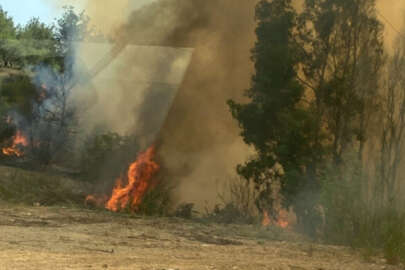 Adana'daki anız yangını ağaçlık alana yayıldı!
