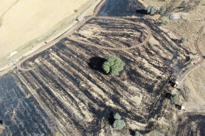 Çocukların ateşle oyunu pahalıya mal oldu, 50 dönüm tarla kül oldu