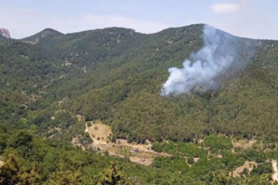 İskenderun'da orman yangını!