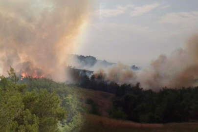 Adana'da orman yangını!