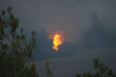 Adana'daki orman yangını devam ediyor!