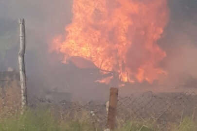 Başkent'te kırsal alanda korkutan yangın!