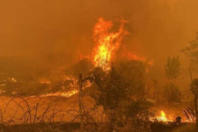 Çanakkale'de orman yangını: Köyler boşaltıldı
