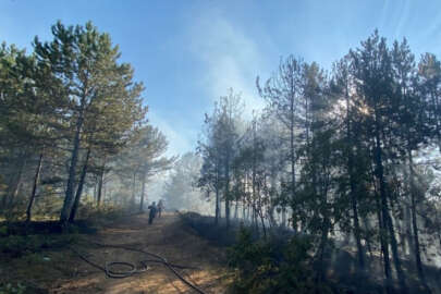 Kastamonu'da orman yangını!