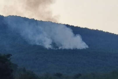 İzmir'de yıldırımın ormana isabet etmesi sonucu yangın çıktı!