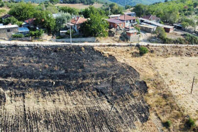 AFAD'dan Çanakkale yangını açıklaması: Yardım ödemeleri başladı