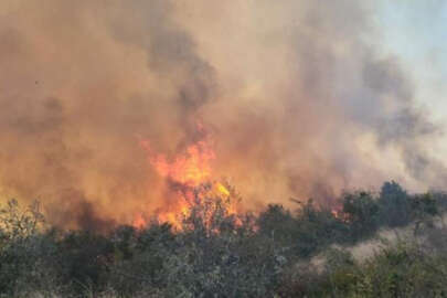 Çanakkale’de maki yangını! Müdahale sürüyor