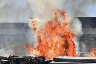 Düzce'de otluk alandaki yangın fabrikaya sıçradı!