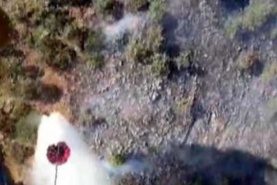 Kahramanmaraş'taki orman yangınının nedeni belli oldu!