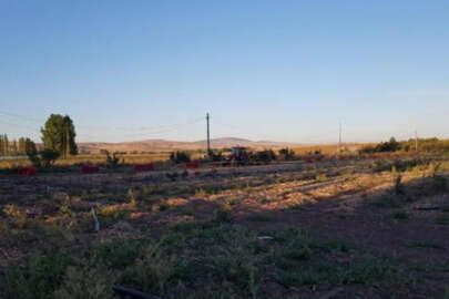 Soğan tarlasına gitti sonrası korkunç! 7 yaşındaki çocuktan acı haber