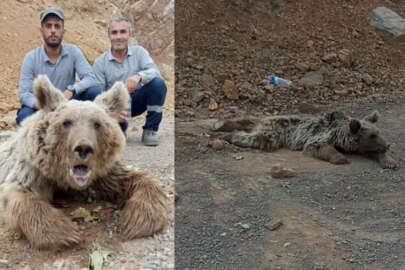 Hakkari'de dağdan kopan kaya parçalarının yarattığı ilginç olay!