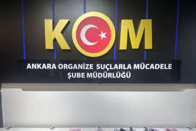 Suç örgütü lideri tutuklandı