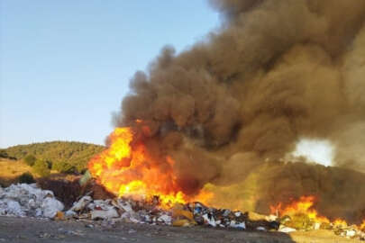 Bilecik'te çöplükte yangın!