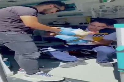 Bursa'da sağlık personeli tavuğa pansuman yaptı! O anlar kaydedildi