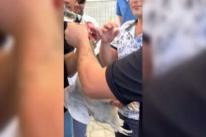 Denizli'de horoza alkol içirip işkence eden 5 kişiye yüklü ceza