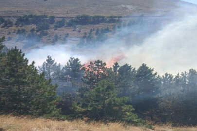 Isparta'daki orman yangını kontrol altında!