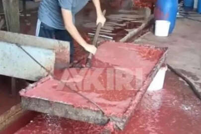 Salça fabrikasından mide bulandıran görüntüler!