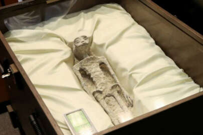 Meksika'nın bulduğu UFO fosili "pasta" çıktı