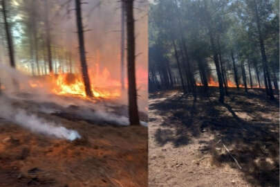 Adana'da orman yangını