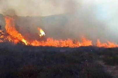 İstanbul'da arazide başlayan yangın ormana sıçradı!