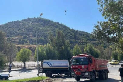 Aydın'da otluk alanda başlayan yangın ormana sıçradı