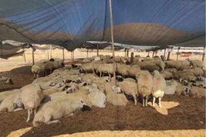 Aylık 40 bin liraya çalışan bulamıyoruz!